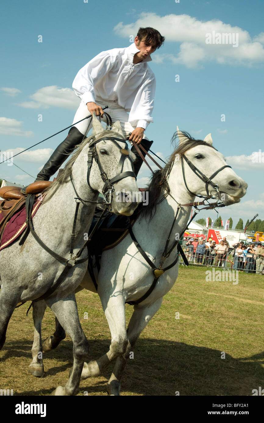 Ein sportlicher Reiter zeigt Balance und Effekthascherei auf zwei Grautöne in einer Pferdesport Anzeige auf einer landwirtschaftlichen Messe in Auch Stockfoto