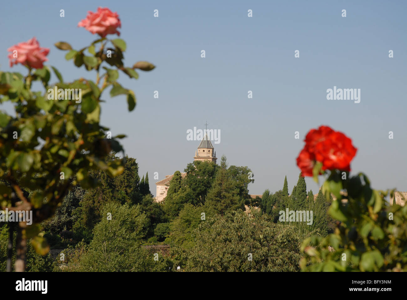 Blick vom Garten der Generalife gegenüber der Alhambra und der Kirchturm, der Alhambra, Granada, Andalusien, Spanien Stockfoto