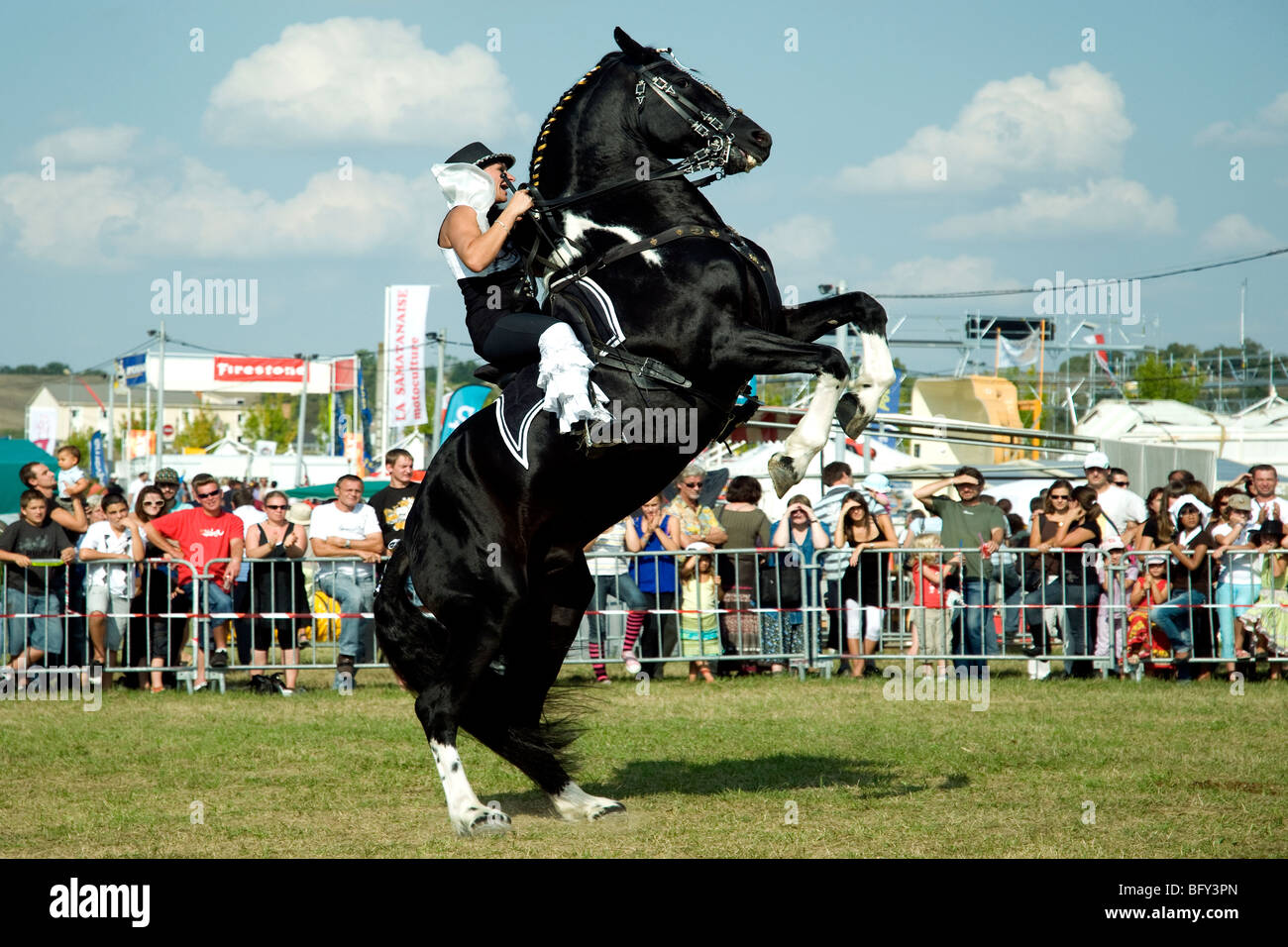 Stand groß, zeigen ein schön schwarzes Pferd und seinem eleganten Reiter ihr können Besucher der Show auf einer Gascon Messe zu beobachten Stockfoto
