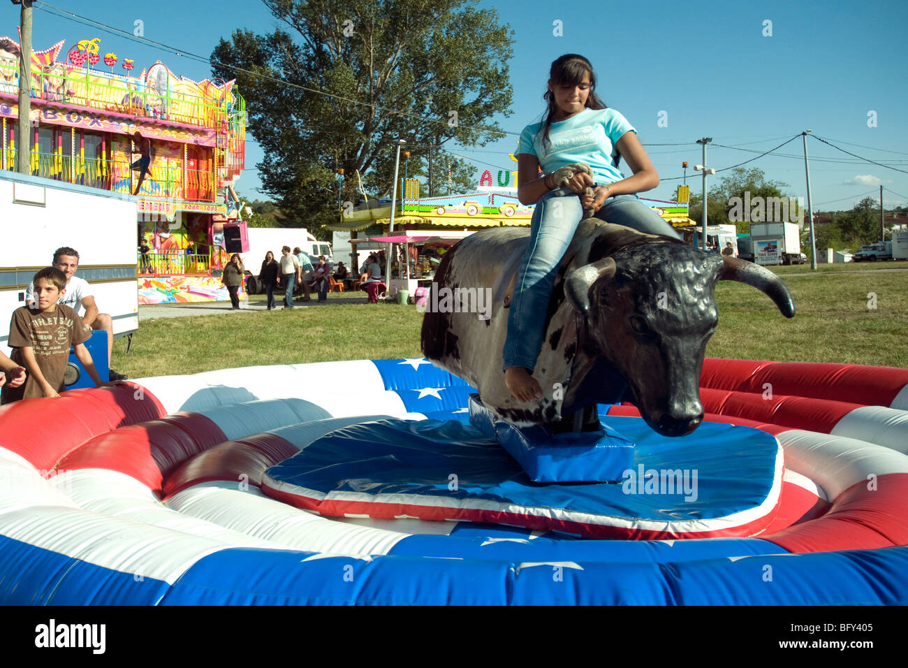 Gascon stier -Fotos und -Bildmaterial in hoher Auflösung – Alamy