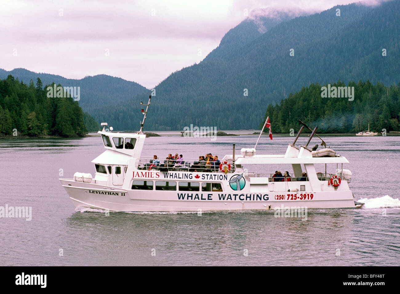 Tofino, BC, Vancouver Island, British Columbia, Kanada, Whale Watching Tour Bootsfahrt verlassen Tofino Hafen, Hafen, Westküste Stockfoto