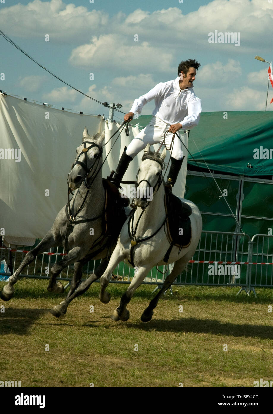 Ein sportlicher Reiter zeigt Balance und Effekthascherei auf zwei Grautöne in einer Pferdesport Anzeige auf einer landwirtschaftlichen Messe in Auch Stockfoto