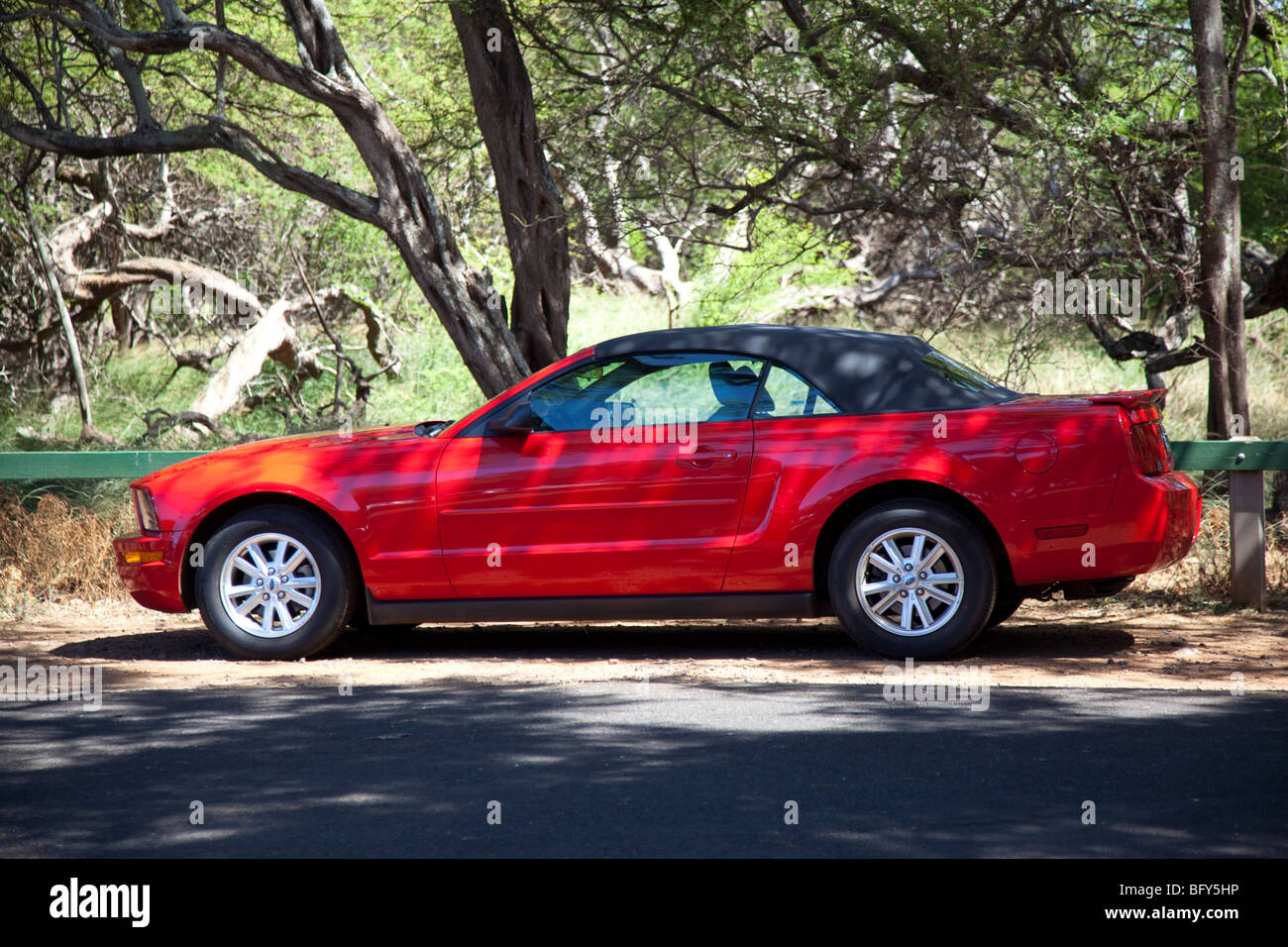 Roten Mustang konvertierbar, Maui, hawaii Stockfoto