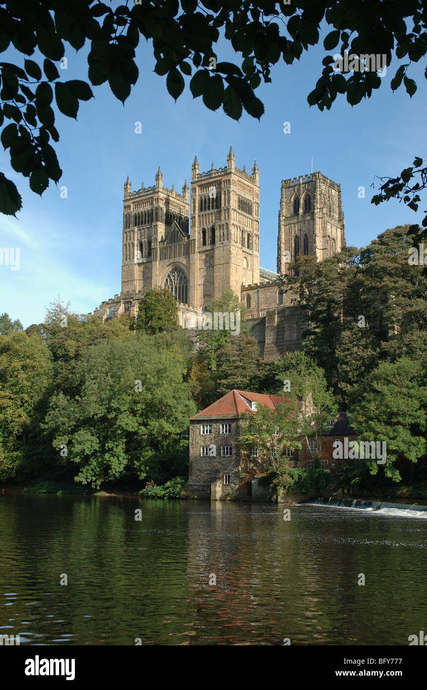 Kathedrale von Durham und den Fluss zu tragen, Durham, England, UK Stockfoto