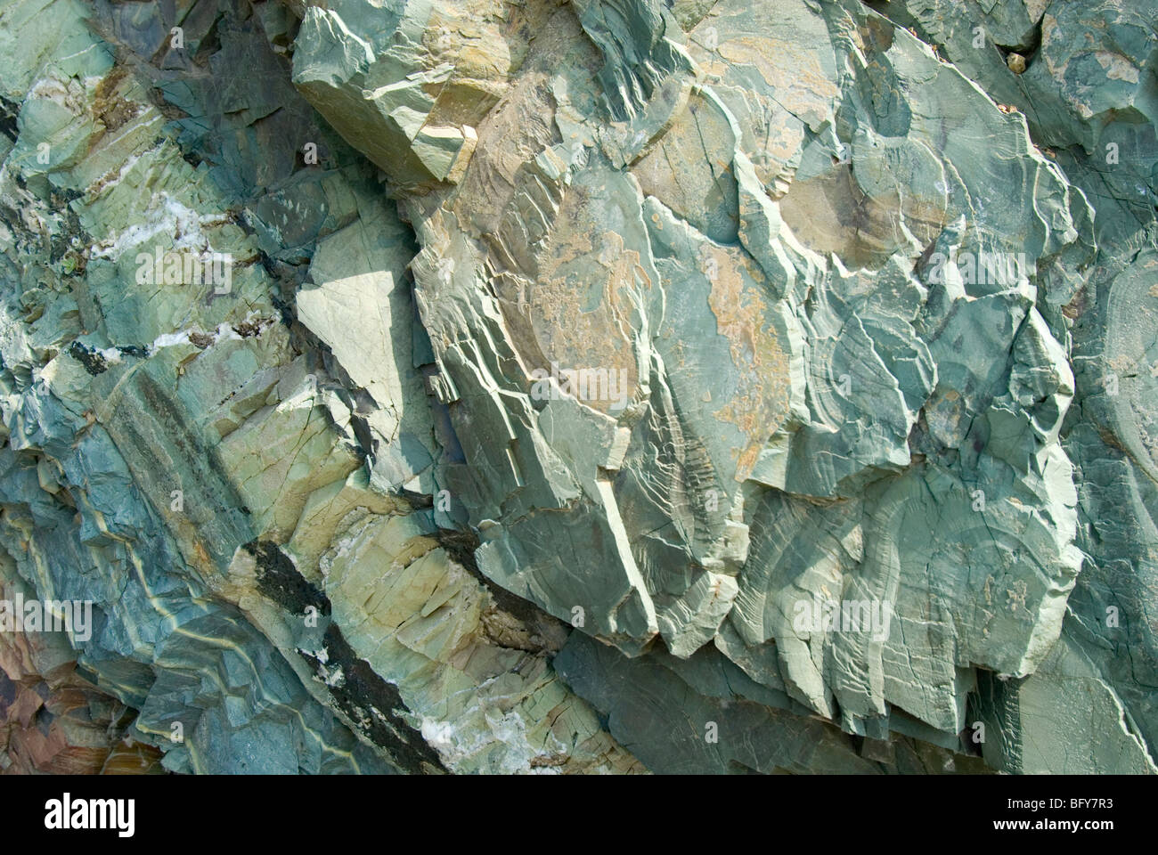 Pumpellyite und Chlorit-reiche Schichten wechseln sich ab mit Epidot-reiche Bands, Awatscha-Bucht, Kamtschatka, Russland Stockfoto