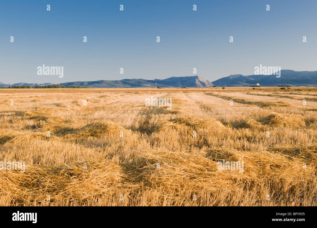 Der spanische Meseta mit Blick auf den kantabrischen Bergen am Fresno del Rio, in der Nähe von Guardo Stockfoto