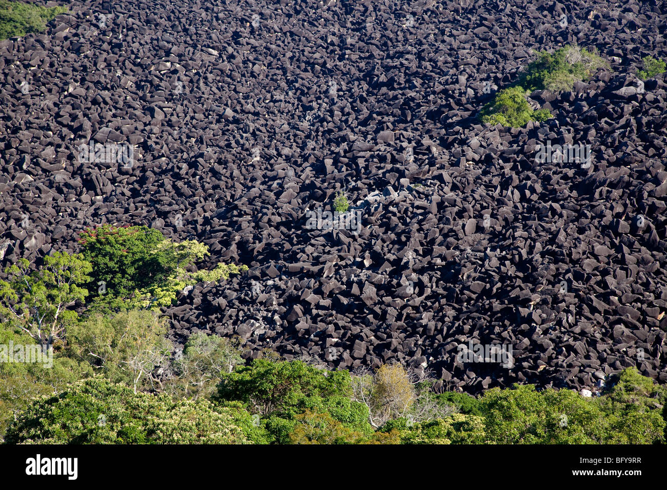 Black Mountain (Kalkajaka) Nationalpark, Queensland, Australien Stockfoto