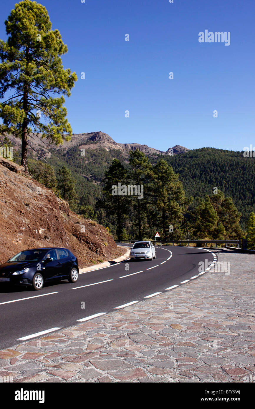 DER WEG ZUM EL TEIDE VORBEI DURCH DEN WALD CORONA VOR DEM EINTRITT IN DEN NATIONALPARK. TENERIFFA KANARISCHE INSELN. Stockfoto