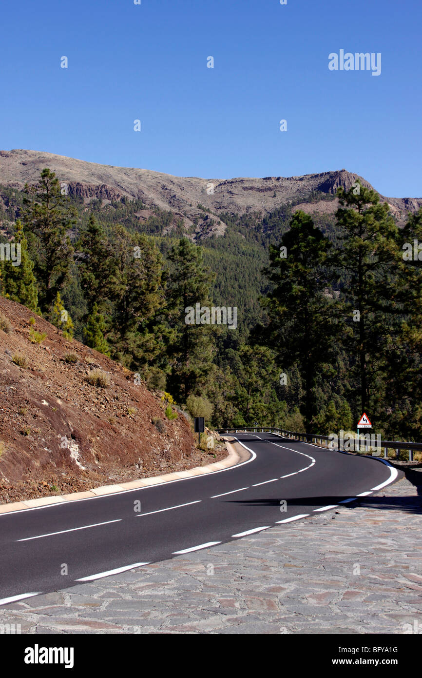 DER WEG ZUM EL TEIDE VORBEI DURCH DEN WALD CORONA VOR DEM EINTRITT IN DEN NATIONALPARK. TENERIFFA KANARISCHE INSELN. Stockfoto