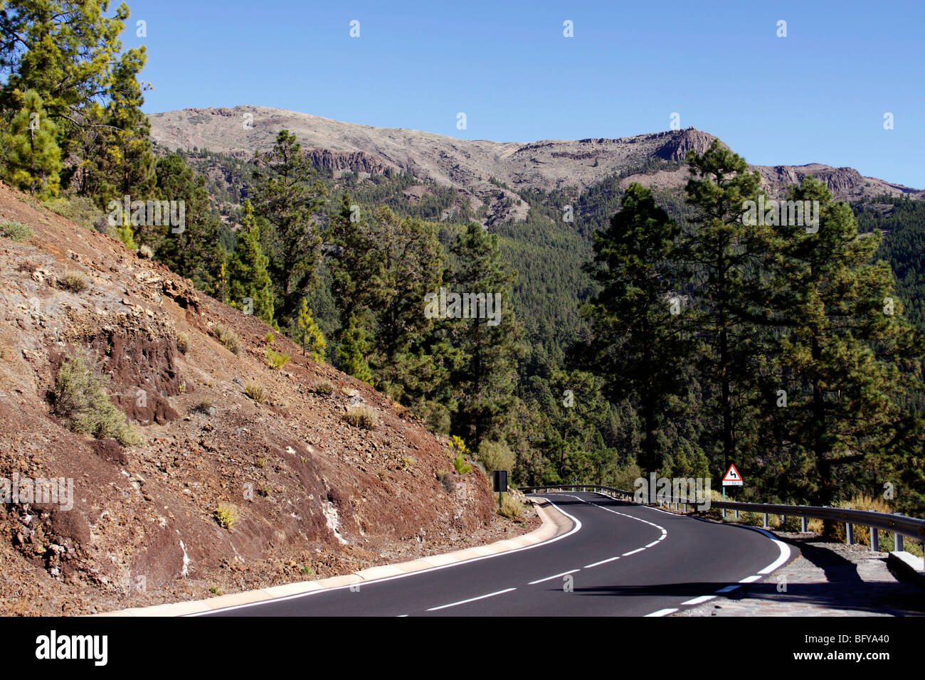 DER WEG ZUM EL TEIDE VORBEI DURCH DEN WALD CORONA VOR DEM EINTRITT IN DEN NATIONALPARK. TENERIFFA KANARISCHE INSELN. Stockfoto