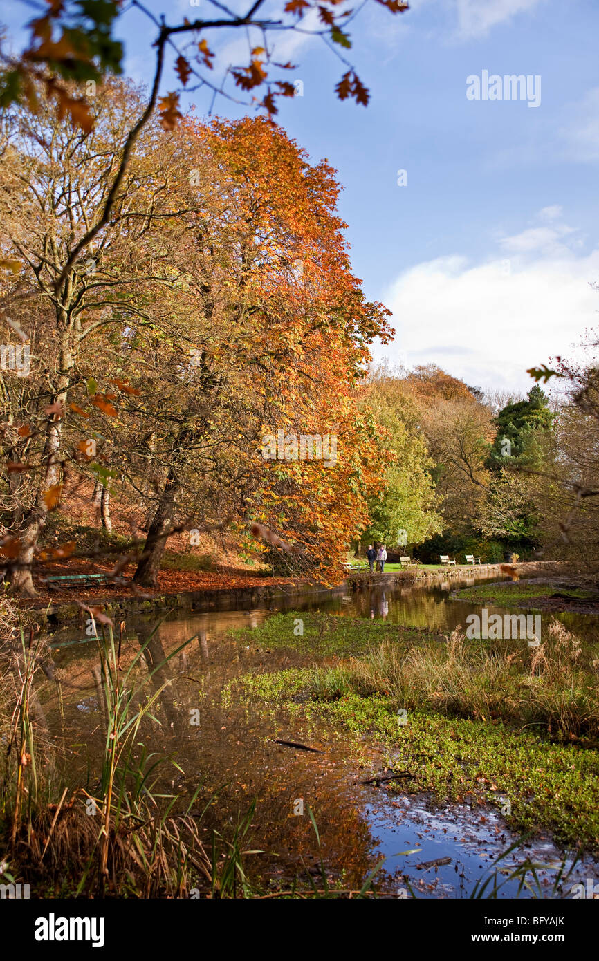 Schmiede-Damm Stockfoto