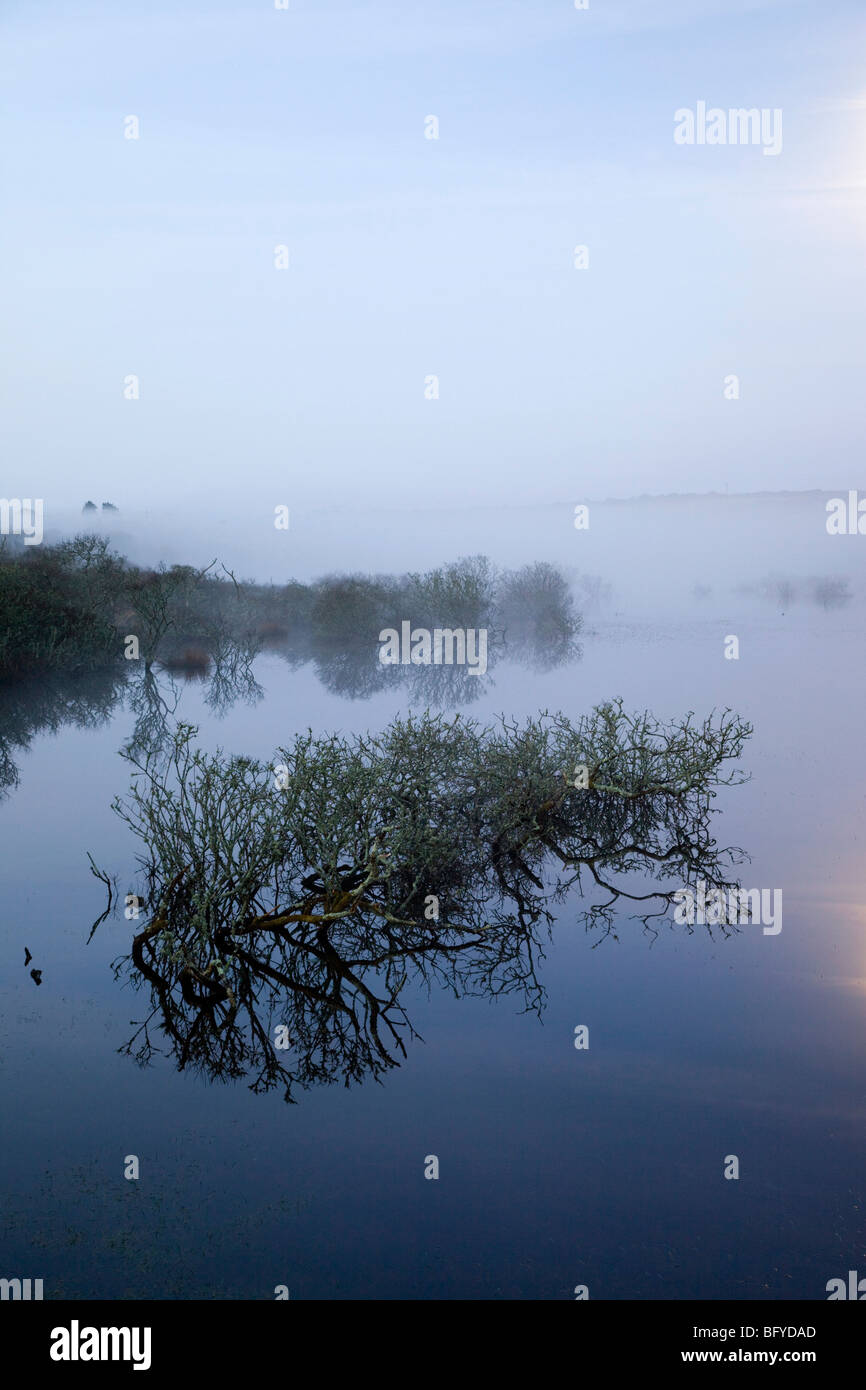 Stithians Reservoir in der Nacht; mit Nebel und Mondschein Stockfoto