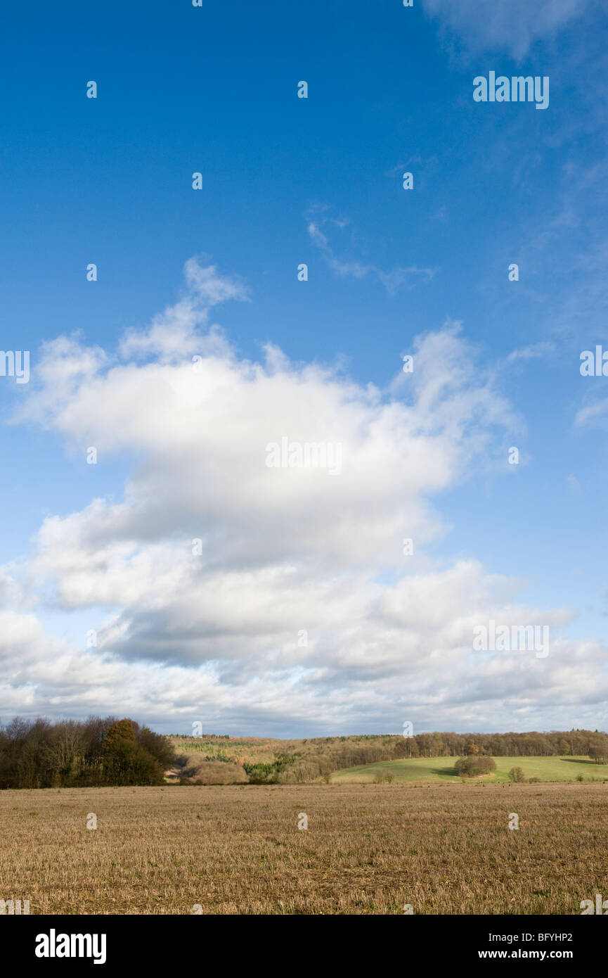 Chilterns Landschaft Landschaft Blick talwärts Schach Bucks UK Stockfoto