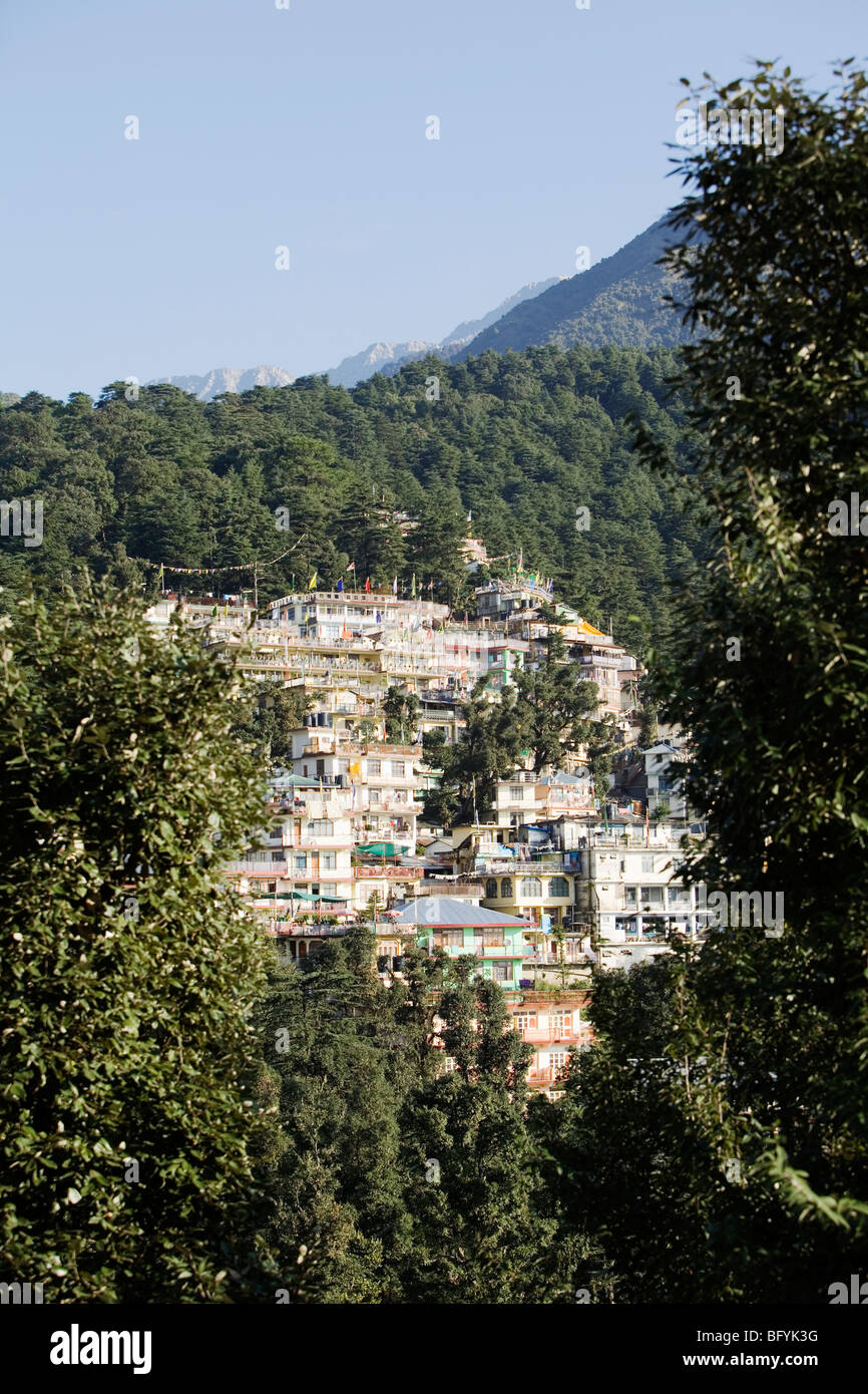 Ein Blick von Dharamsala, Indien. Dharamsala ist die Heimat der tibetischen Regierung im Exil. Stockfoto