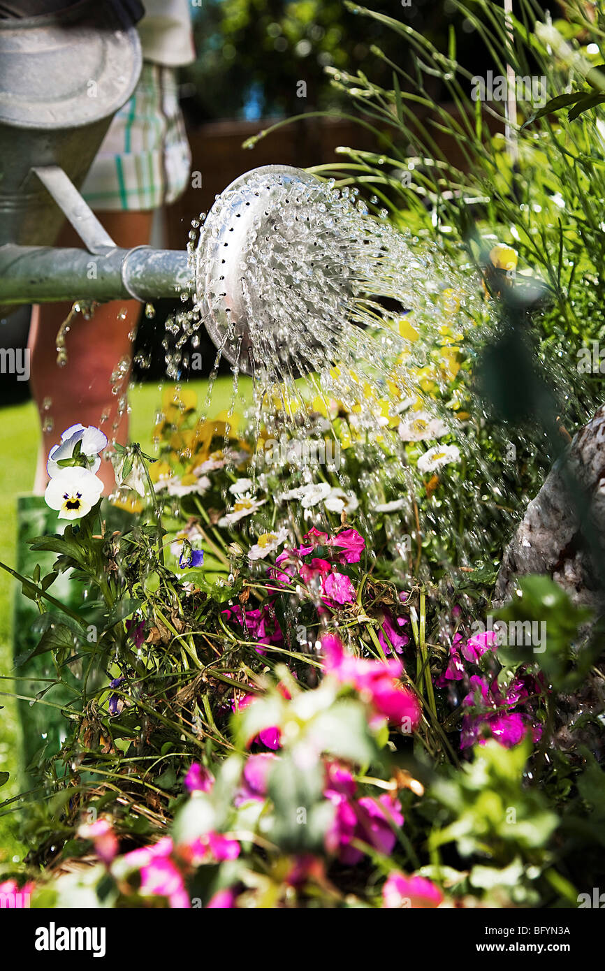 Detail der jungen Frau, die Blumen gießen Stockfoto