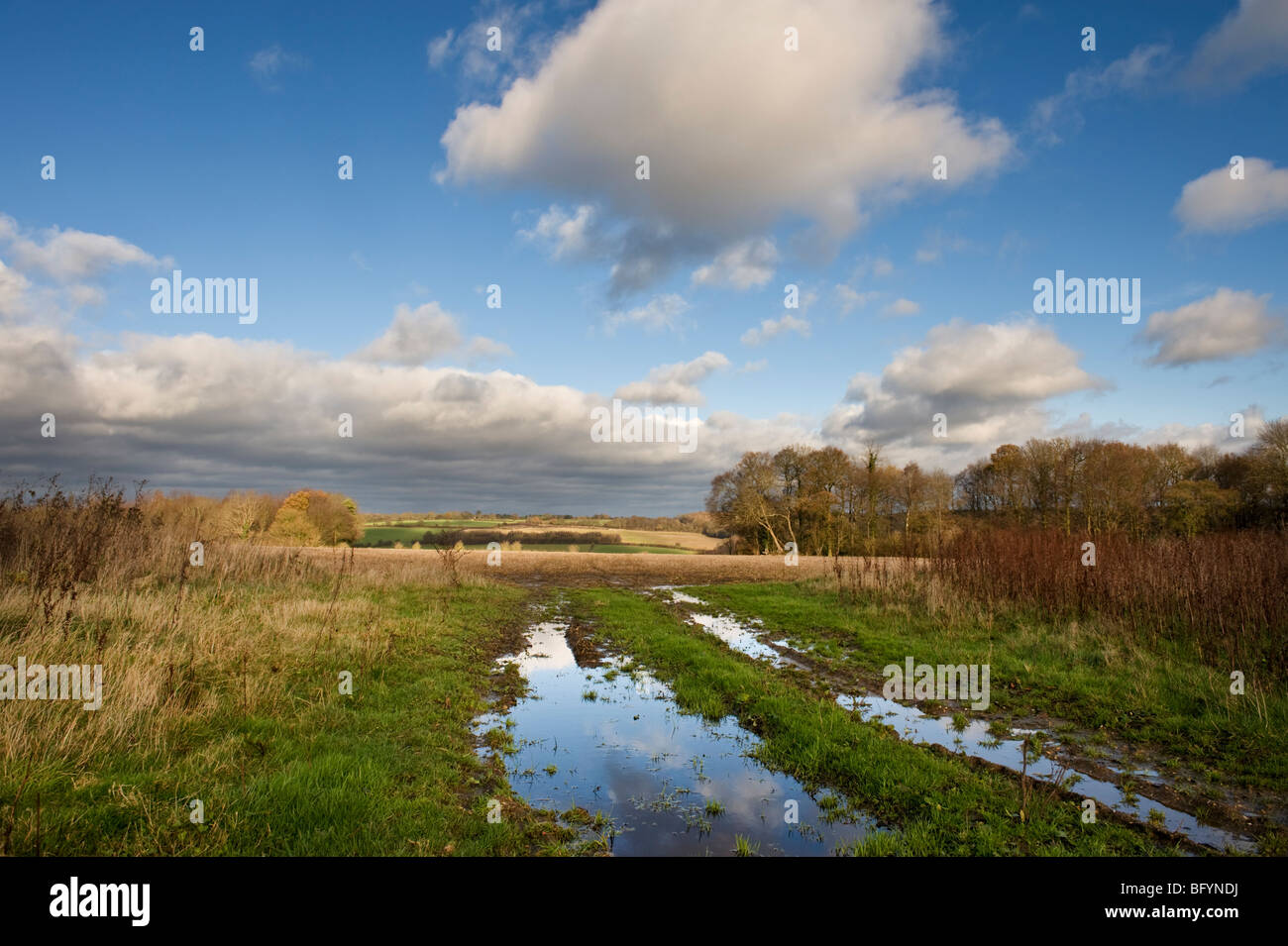 Ein Blick auf die Chilterns Landschaft Landschaft und Reflexionen des Himmels in Pfützen. Stockfoto