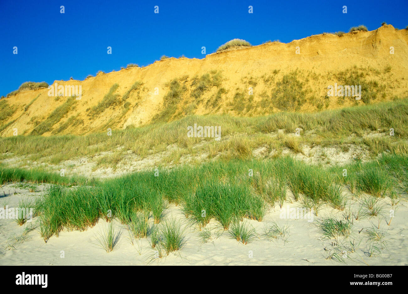 Red Cliff in der Nähe von Kampen, Sylt, Insel, Meer, Nordfriesland, Schleswig-Holstein, Norddeutschland Stockfoto