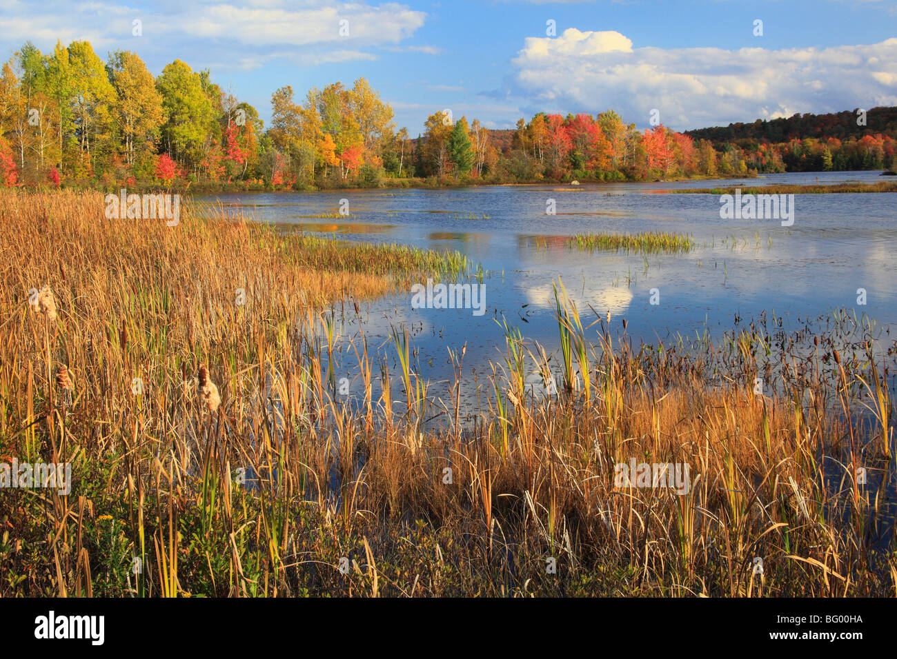 Adirondacks See Durant, Blue Mountain Lake, New York Stockfoto