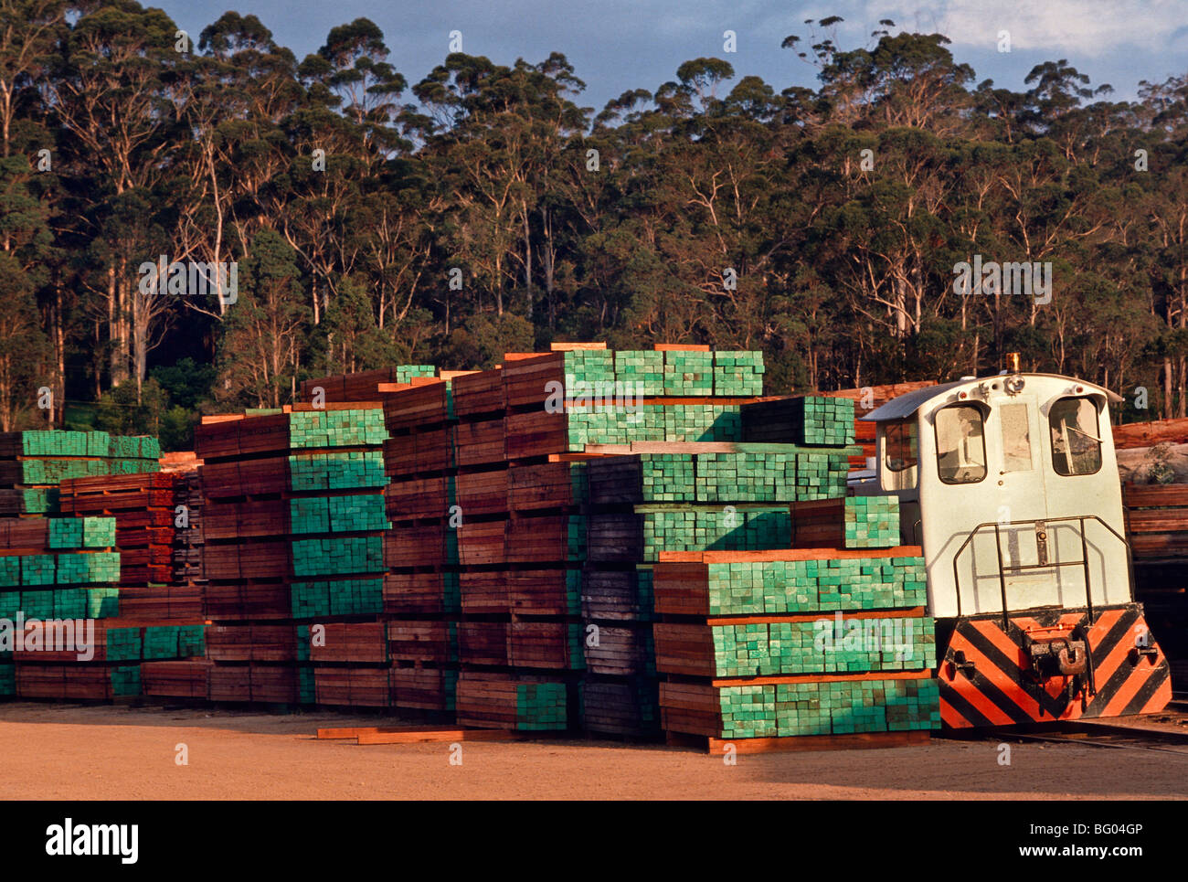 Gesägte Karri-Holz, Western Australia Stockfoto