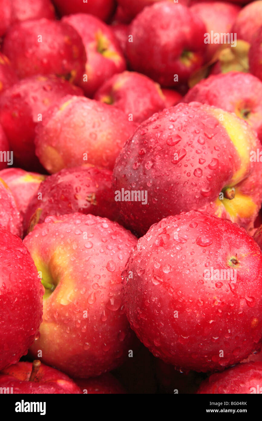 Cold Hollow Cider MIll, Waterbury, Vermont Stockfoto