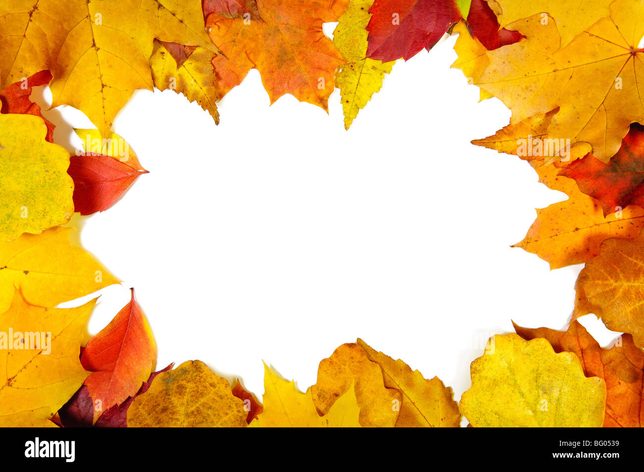 Rahmen aus Herbstlaub Stockfoto
