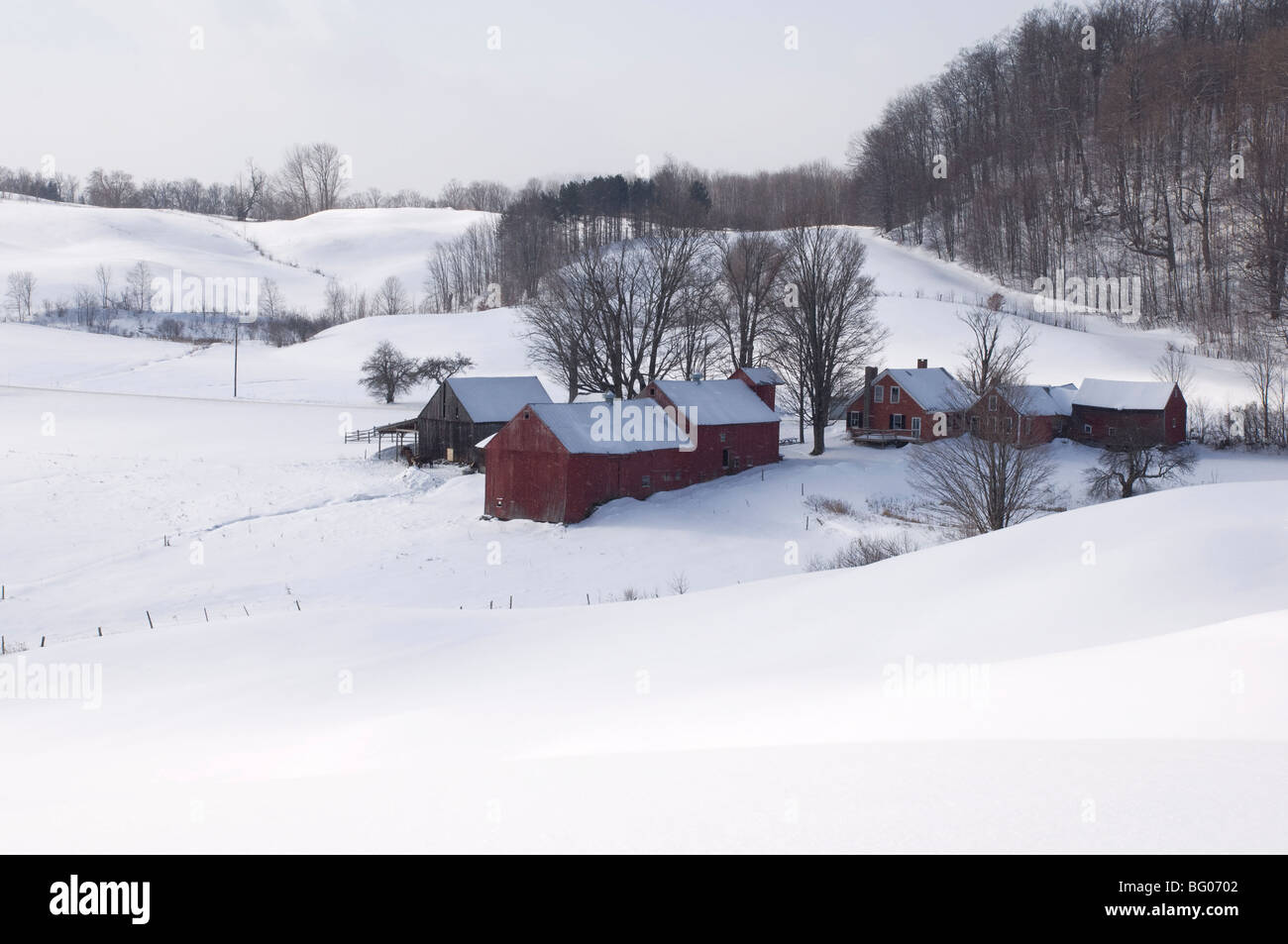 Ein traditioneller Bauernhof, umgeben von schneebedeckten Feldern in South Woodstock, Vermont, New England, Vereinigte Staaten von Amerika Stockfoto
