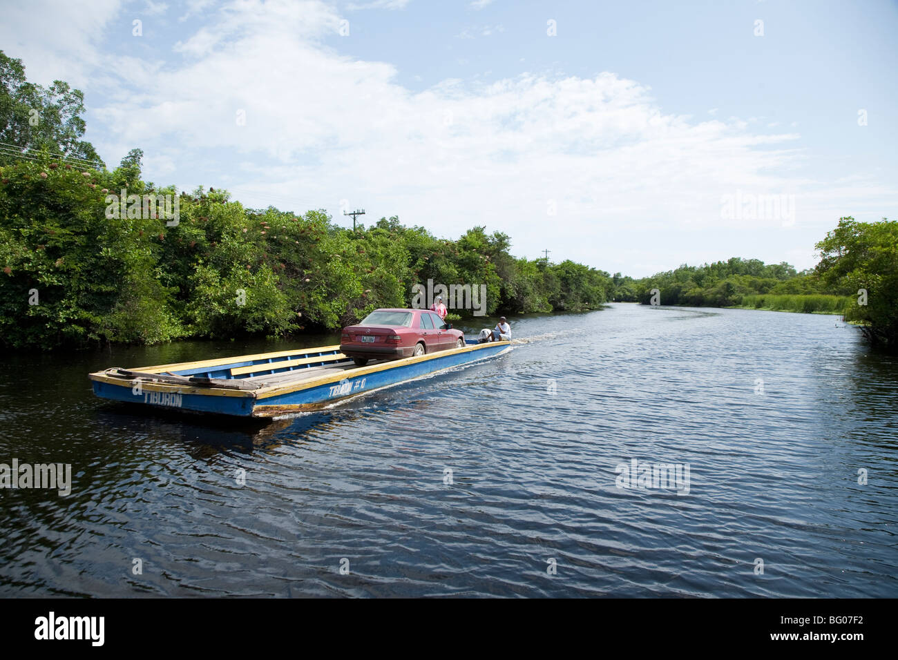 Mangrovensumpf. Monterrico Naturschutzgebiet Reserva Natural de Usos Multiples. Stockfoto