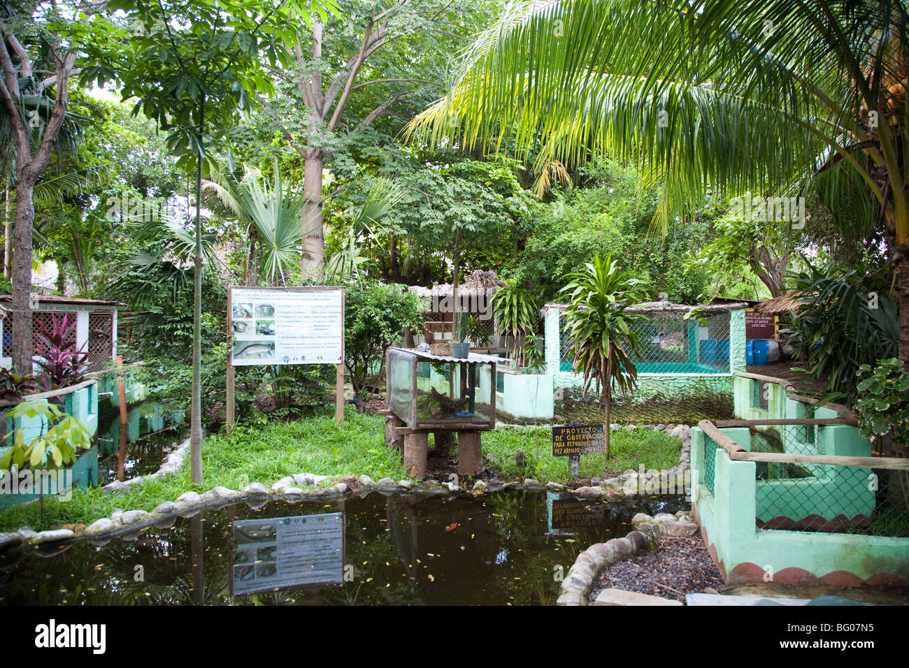 Turtle Conservation Center. Monterrico Naturschutzgebiet Reserva Natural de Usos Multiples. Stockfoto