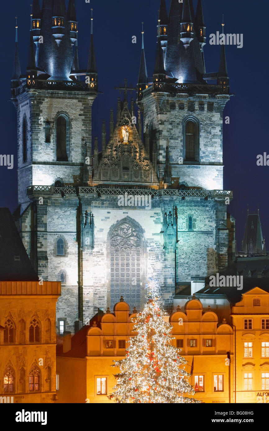 Tschechische Republik, Prag - Weihnachtsbaum auf dem Altstädter Ring Stockfoto