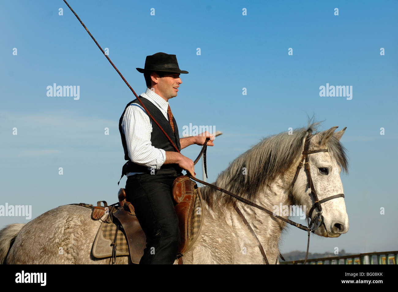 Camargue Horse Rider bekannt als „Guardian“ oder provenzalischer Cowboy auf einem weißen Camargue-Pferd, Camargue, Provence, Frankreich Stockfoto