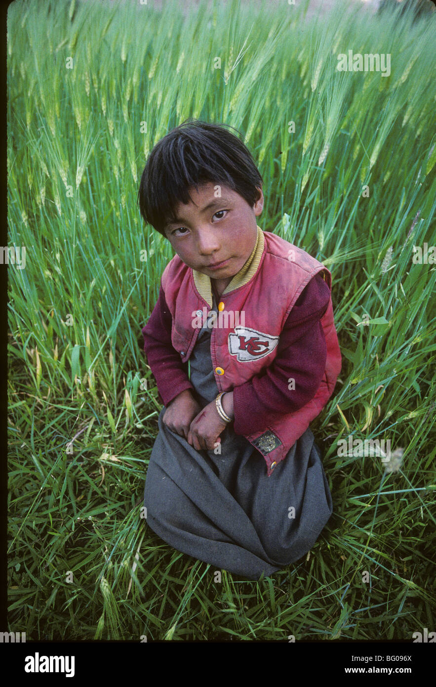 Porträt des jungen Mädchens im Weizenfeld, Leh, Ladakh, Indien Stockfoto