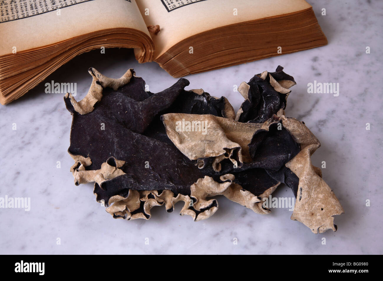 Schwarzer Pilz für traditionelle chinesische Medizin Stockfoto