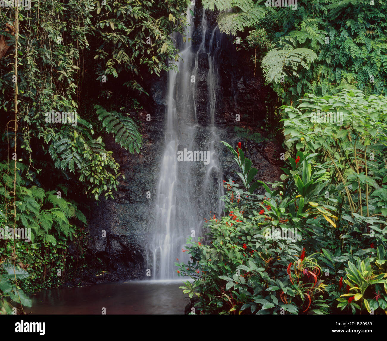 Wasserfall im Botanischen Garten in Tahiti, Gesellschaftsinseln, Französisch-Polynesien, Pazifik Stockfoto