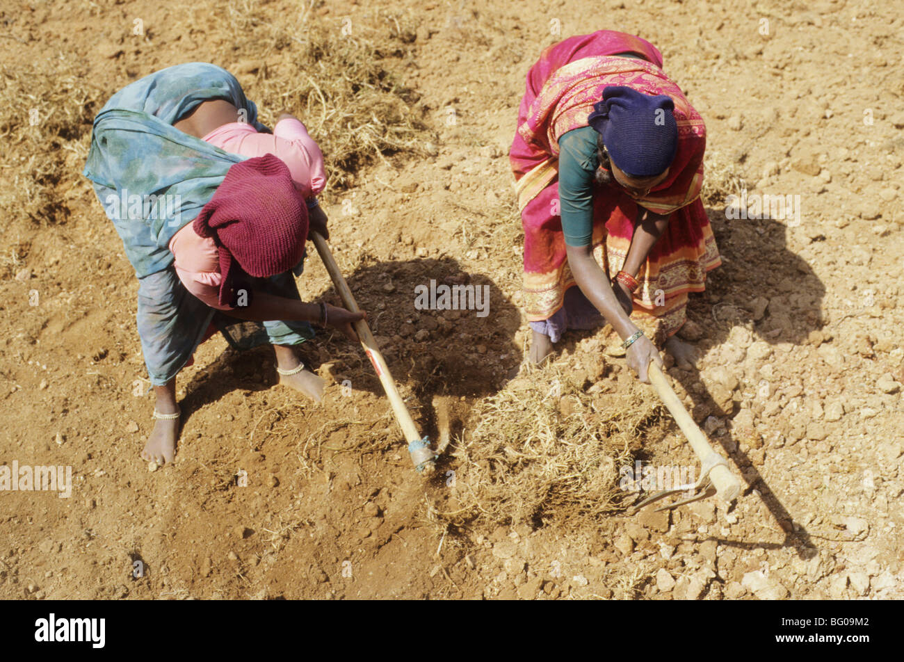 Arbeiten bei 2200 m zwei Frauen Tagelöhner die fruchtbare Felder, die der südindischen Stadt Ooty Surround pflegen (wie die Königin der Hügel Gewerkschaftsorganisationen bekannt) im Bundesstaat Tamil Nadu Stockfoto