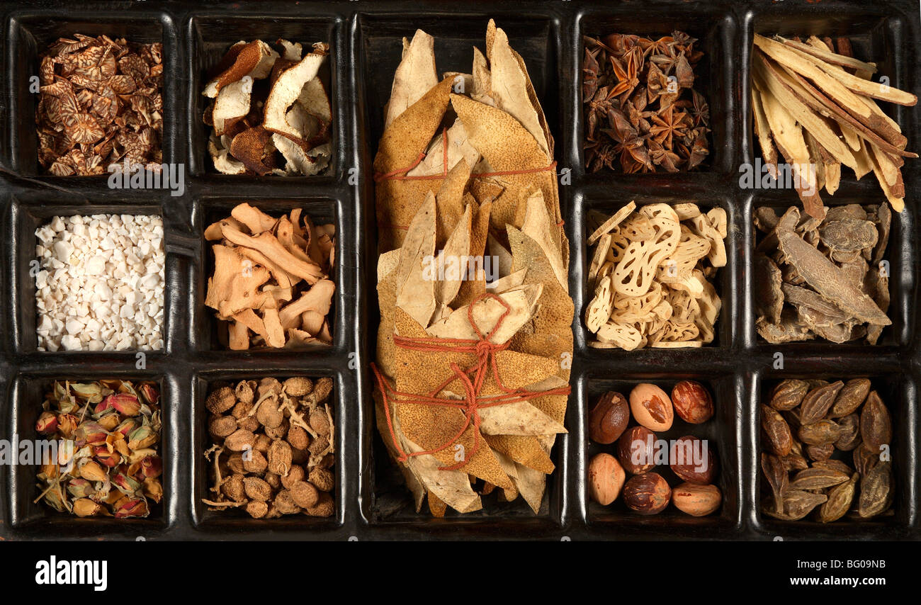 Verschiedene chinesische Kräuter für die traditionelle chinesische Medizin Stockfoto