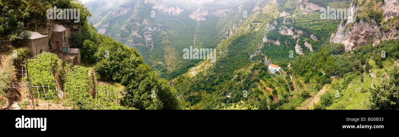Amalfi Weinberge in den hohen Bergen der Amalfi Küste Bereich Stockfoto
