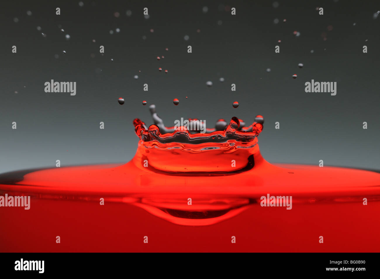 Ein Tropfen rote Wasser bilden eine Haube wie es Spritzer in ein Glas voller Flüssigkeit, Hintergrundbeleuchtung für den Kontrast. Stockfoto