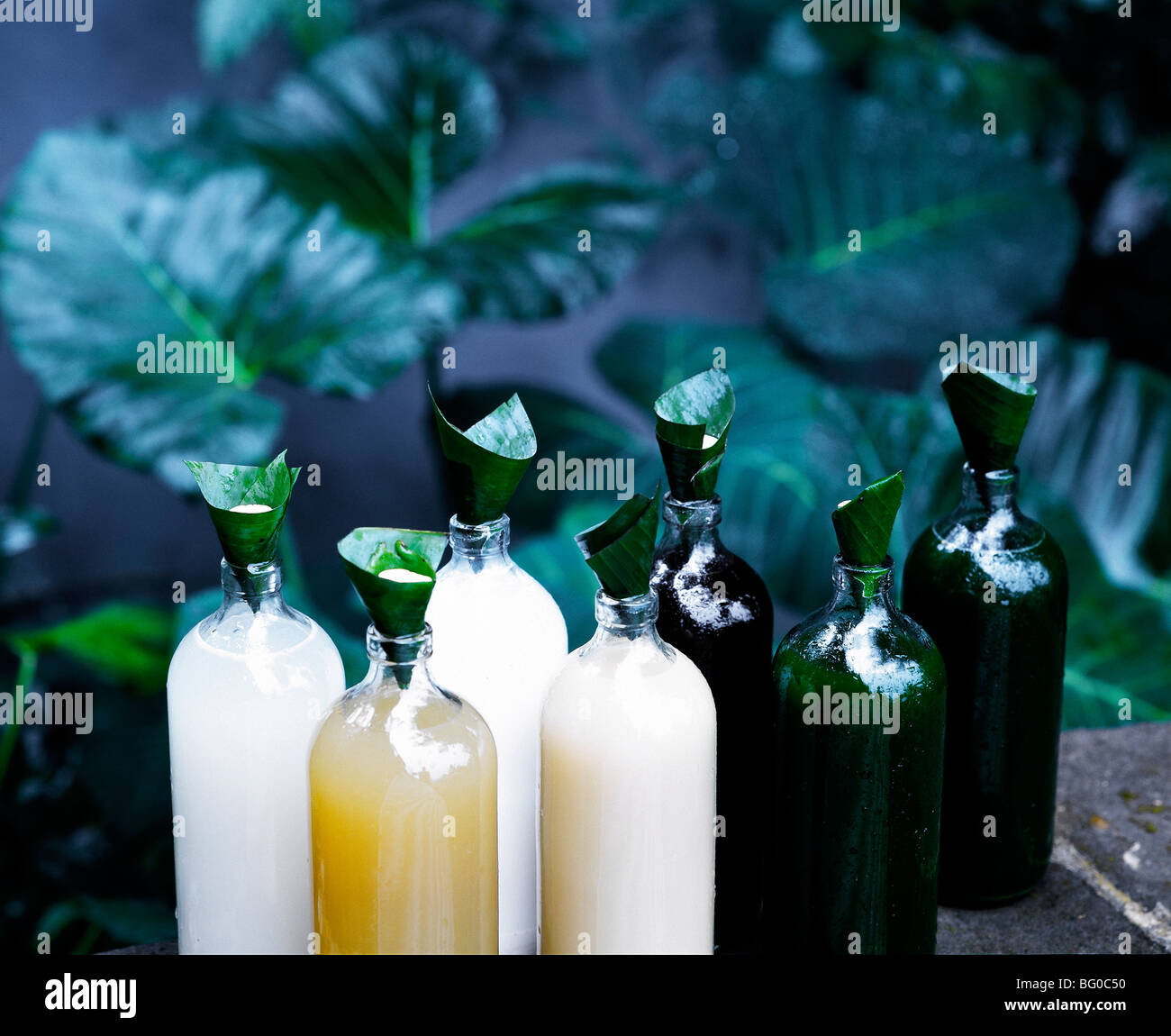 Flaschen von Jamu, traditionelle indonesische Pflanzliche Stärkungsmittel, Indonesien, Südostasien, Asien Stockfoto