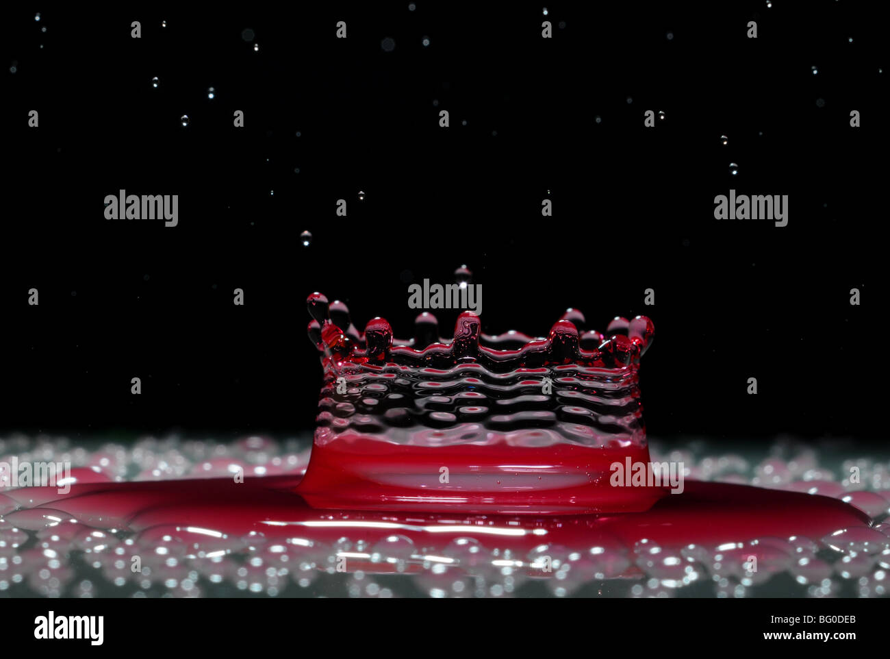 Ein Wassertropfen roten Krönchen bilden, wie es in einer flachen Schicht Flüssigkeit spritzt Stockfoto