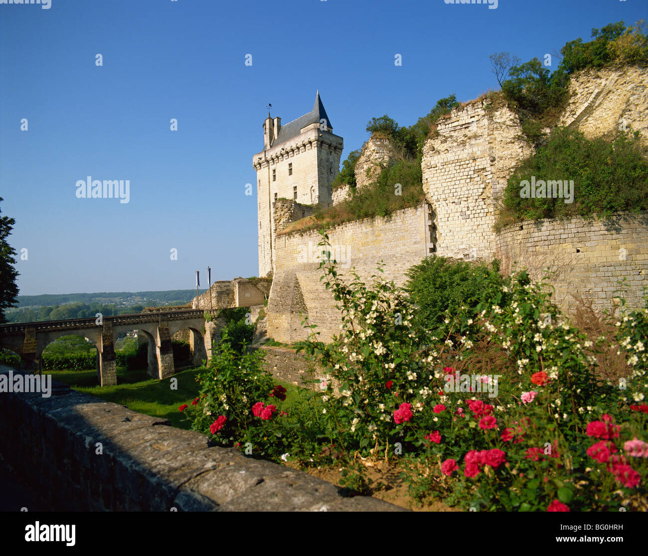 Chateau de Chinon, Indre-et-Loire, Loire-Tal, Frankreich Stockfoto
