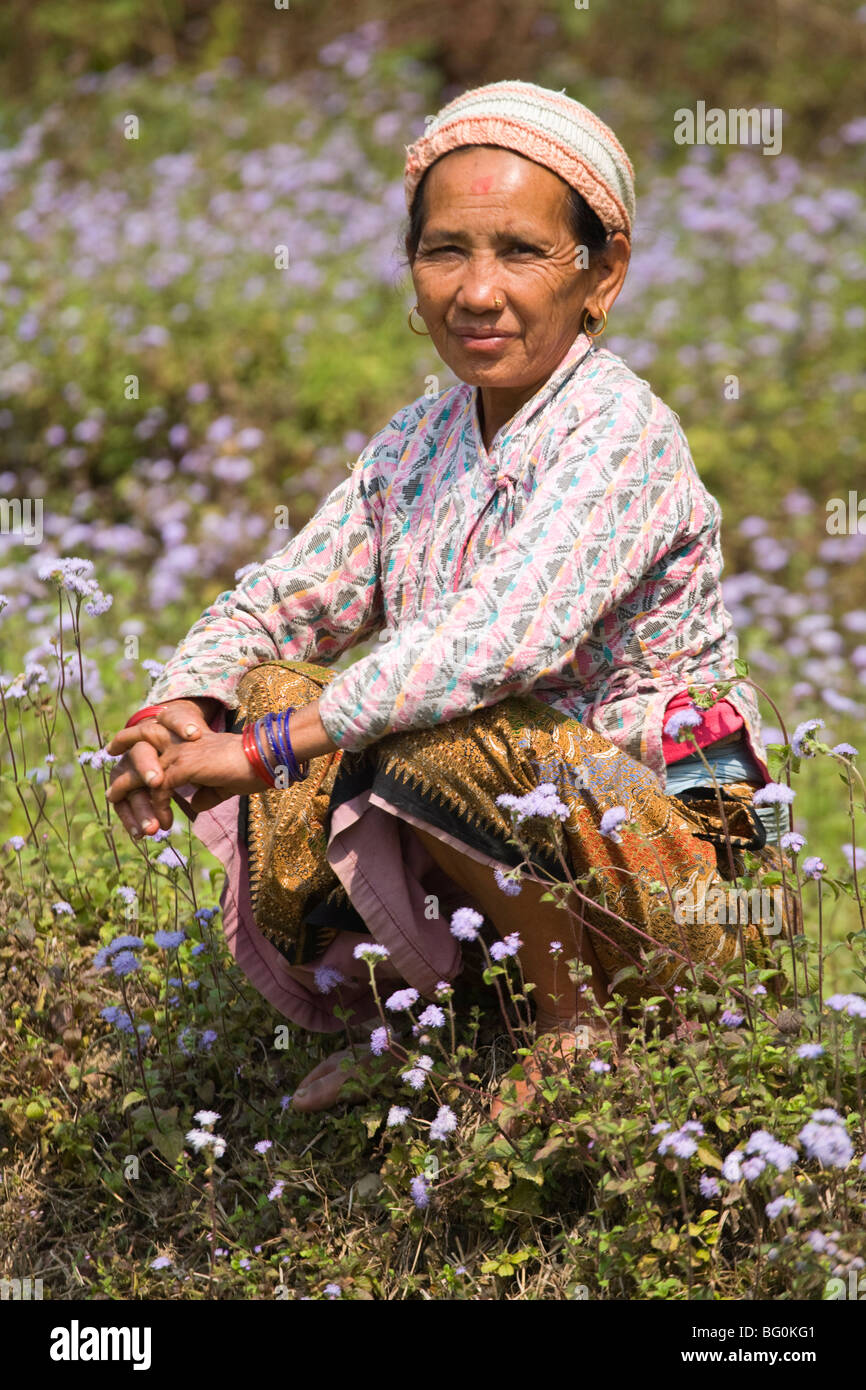 Frau im Bereich der wilden Blumen, Royal Trek, Pokhara, Nepal, Asien Stockfoto