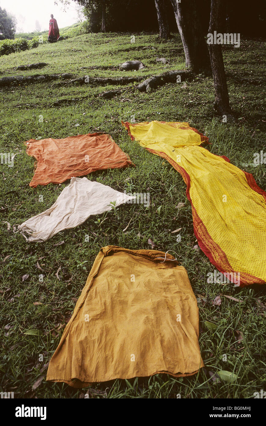 Eine Frau hat ihre Wäsche ausgebreitet zum Trocknen auf einem grasbewachsenen Hügel in den Nilgiris-Bergen in Südindien in Tamil Nadu Stockfoto