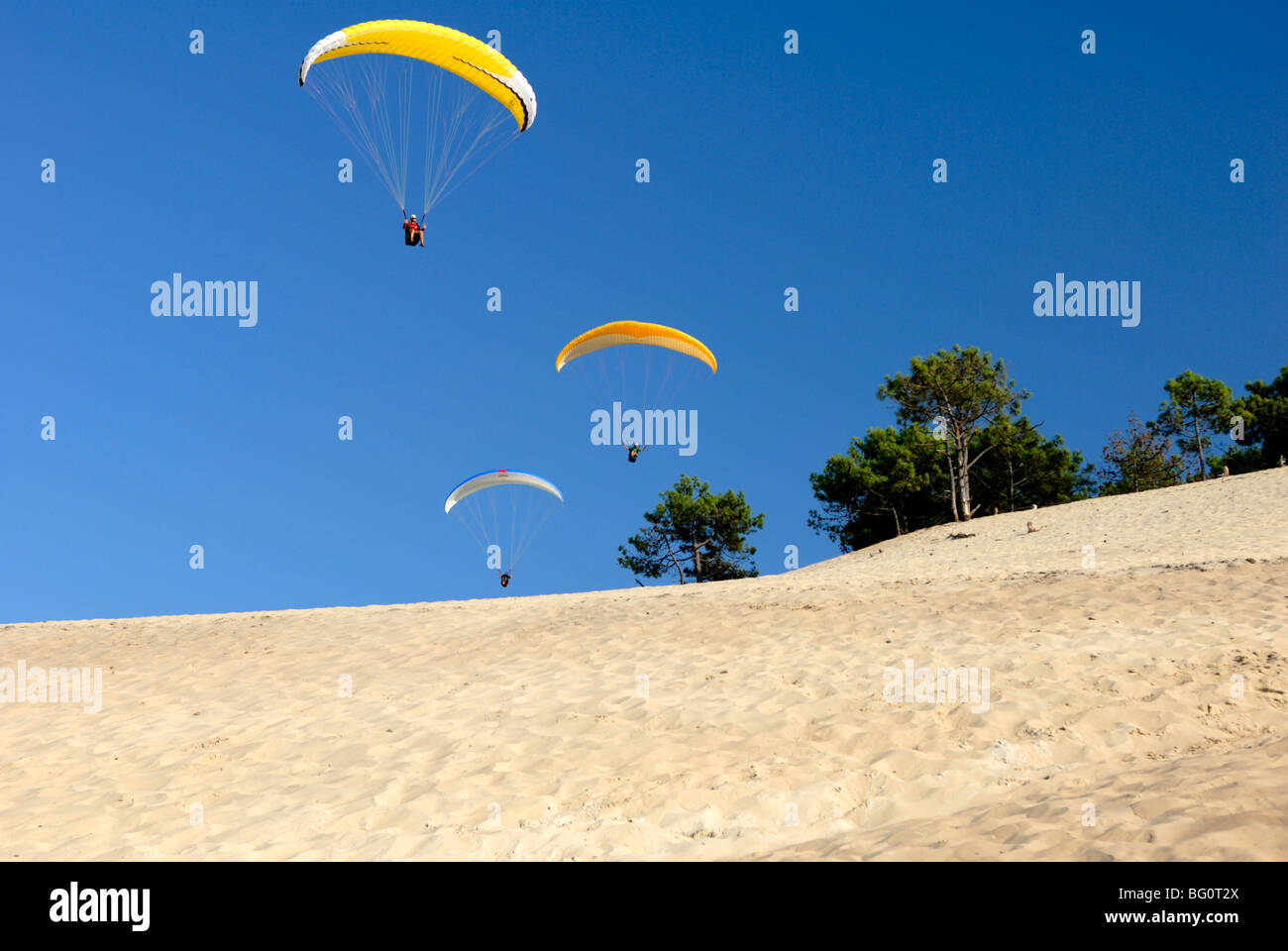 Drachenflieger über die Düne von Pyla, Bucht von Arcachon, Cote d ' Argent, Gironde, Aquitanien, Frankreich, Europa Stockfoto