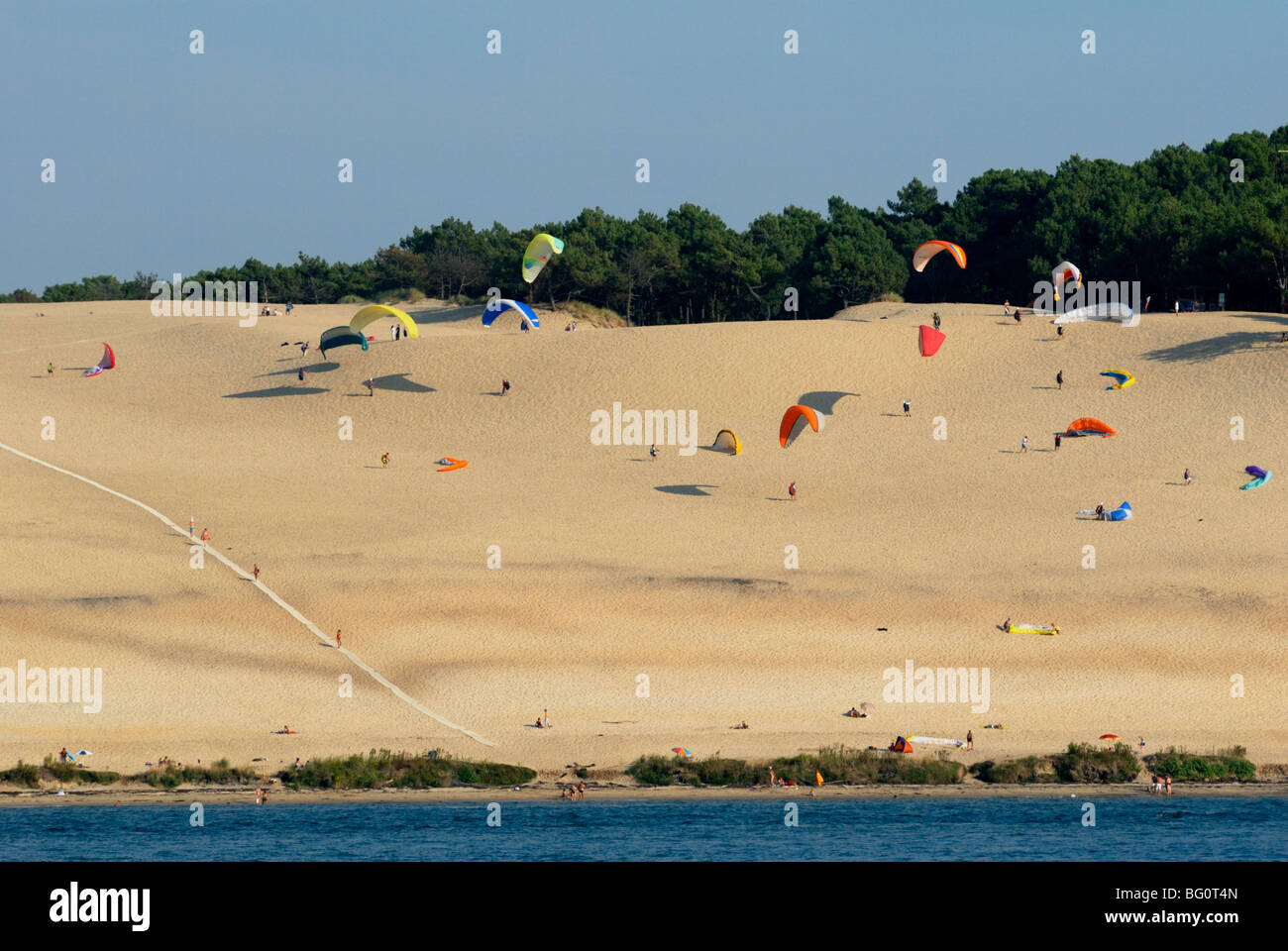 Hängen Sie Segelflugzeuge über die Düne von Pyla, der größten Düne Europas, die Bucht von Arcachon, Cote d ' Argent, Gironde, Aquitanien, Frankreich Stockfoto