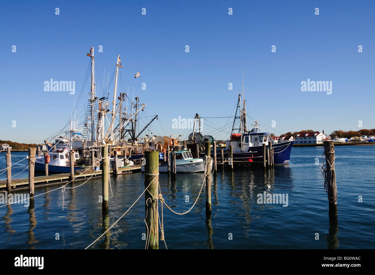 Montauk Hafen, Montauk, Long Island, New York State, Vereinigten Staaten von Amerika, Nordamerika Stockfoto