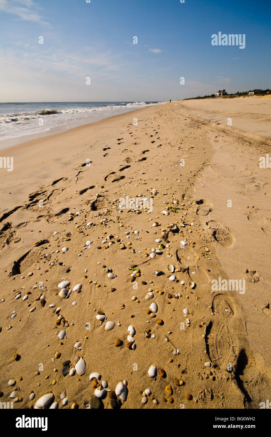Main Beach, East Hampton, den Hamptons, Long Island, New York Staat, Vereinigte Staaten von Amerika, Nordamerika Stockfoto