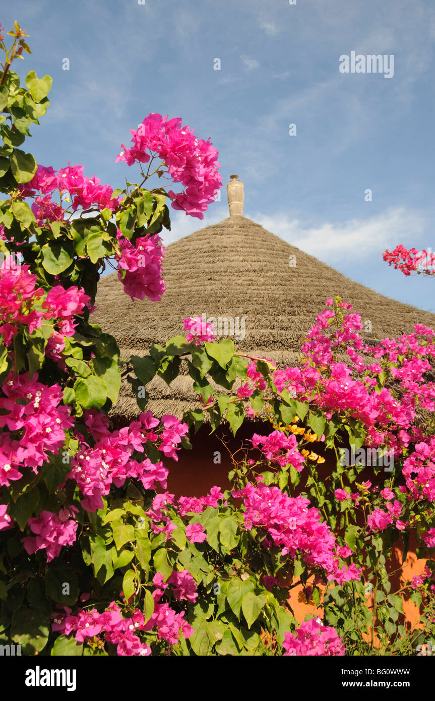 Blumen und Hütte Detail, Sine Saloum-Delta, Senegal, Westafrika, Afrika Stockfoto