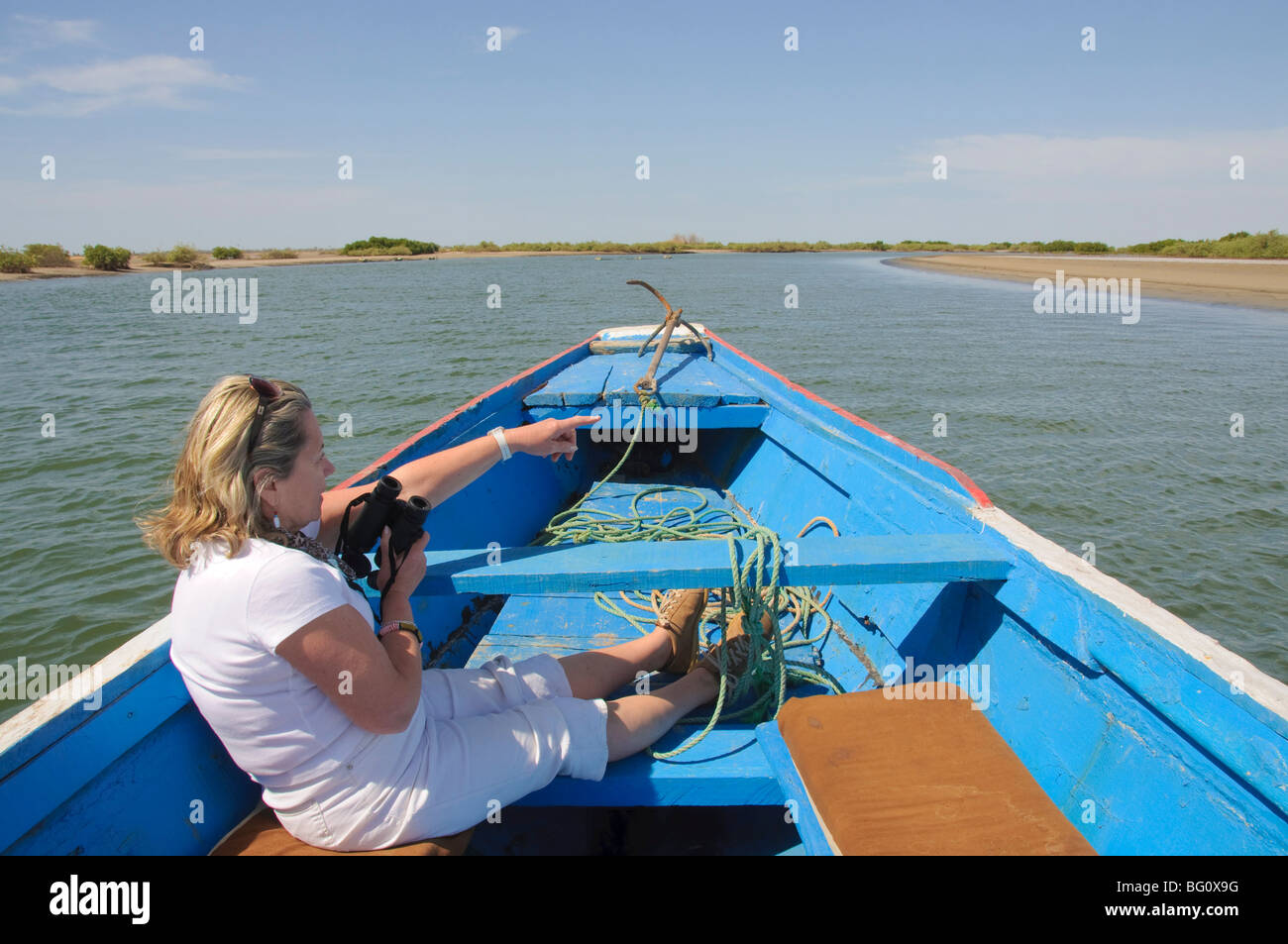Tourist-Vogelbeobachtung vom Einbaum oder Angelboot/Fischerboot auf den Backwaters von Sine Saloum-Delta, Senegal, Westafrika, Afrika Stockfoto