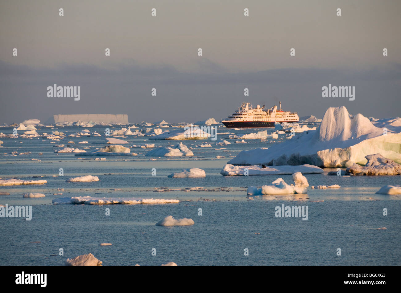 Eis in der Antarktis Sound, der antarktischen Halbinsel, Antarktis, Polarregionen Stockfoto
