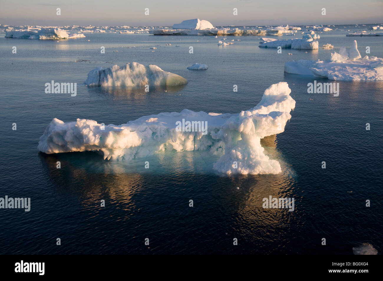 Eis in der Antarktis Sound, der antarktischen Halbinsel, Antarktis, Polarregionen Stockfoto
